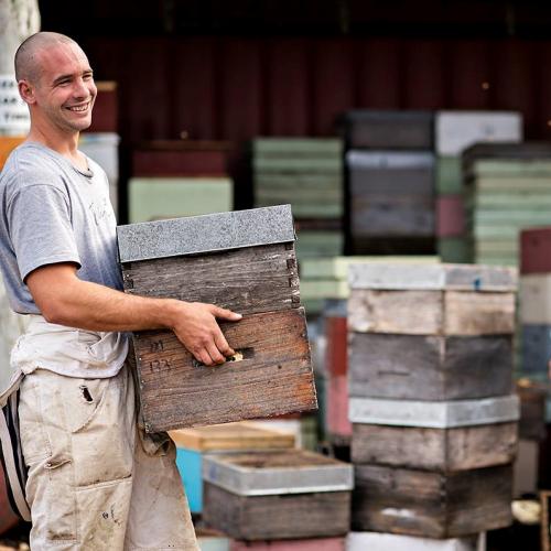 David B and David K beekeepers at Tahi 2